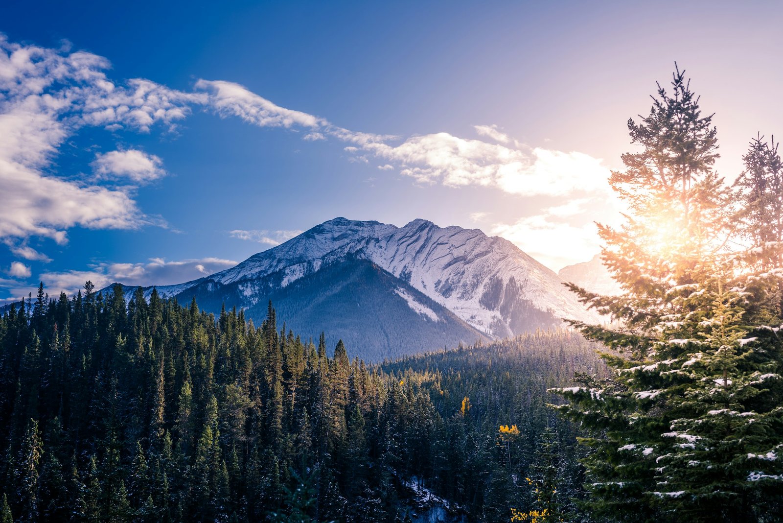 neil-rosenstech-_FpwbchiVls-unsplash